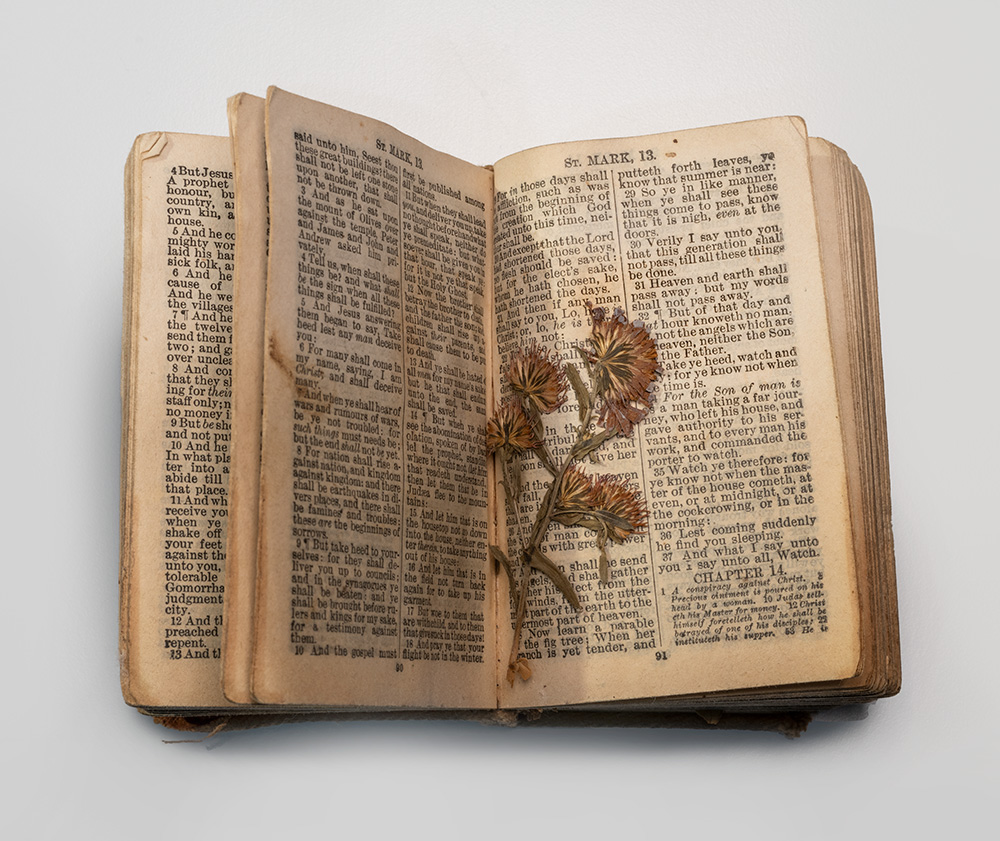 Open book, pages worn and stained. Printed with dense typewritten text. Pressed and dried flowers rest on the pages.